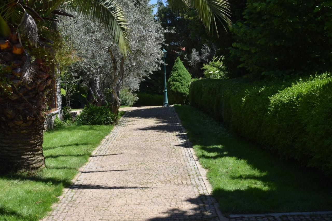 Hotel Quinta Da Boa Ventura Bragança Exterior foto